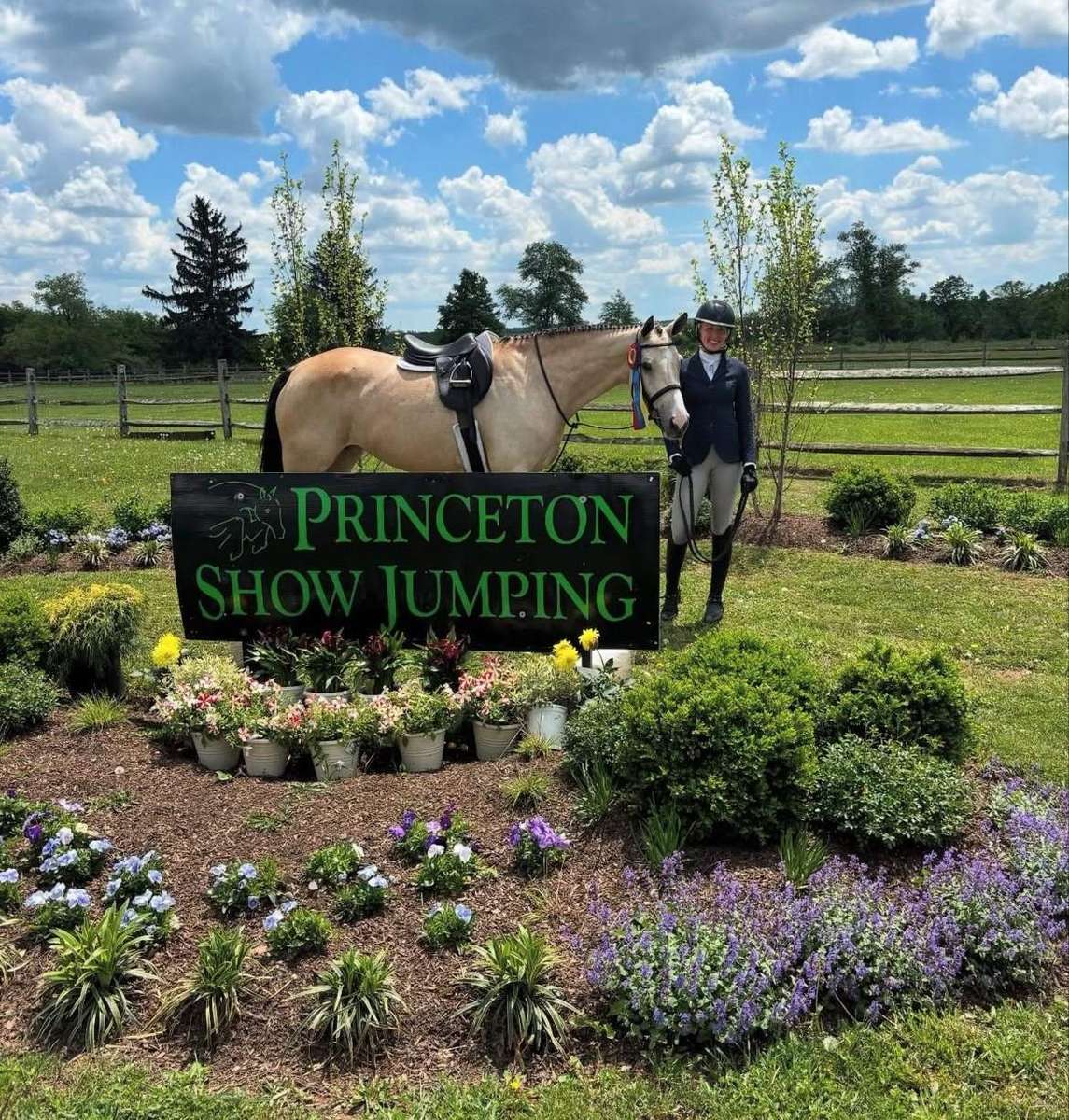 A buckskin and rider at Princeton Show Jumping