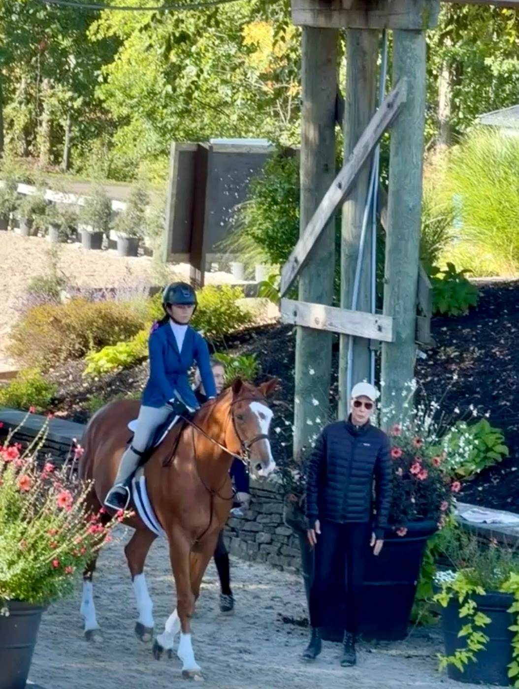 A horse and rider waiting at the in-gate