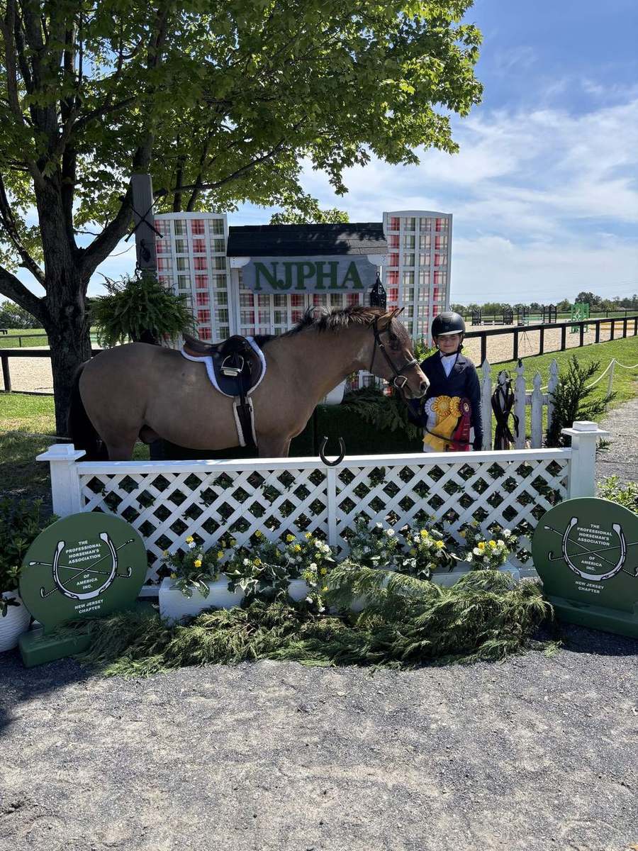 A horse and rider entering the show ring