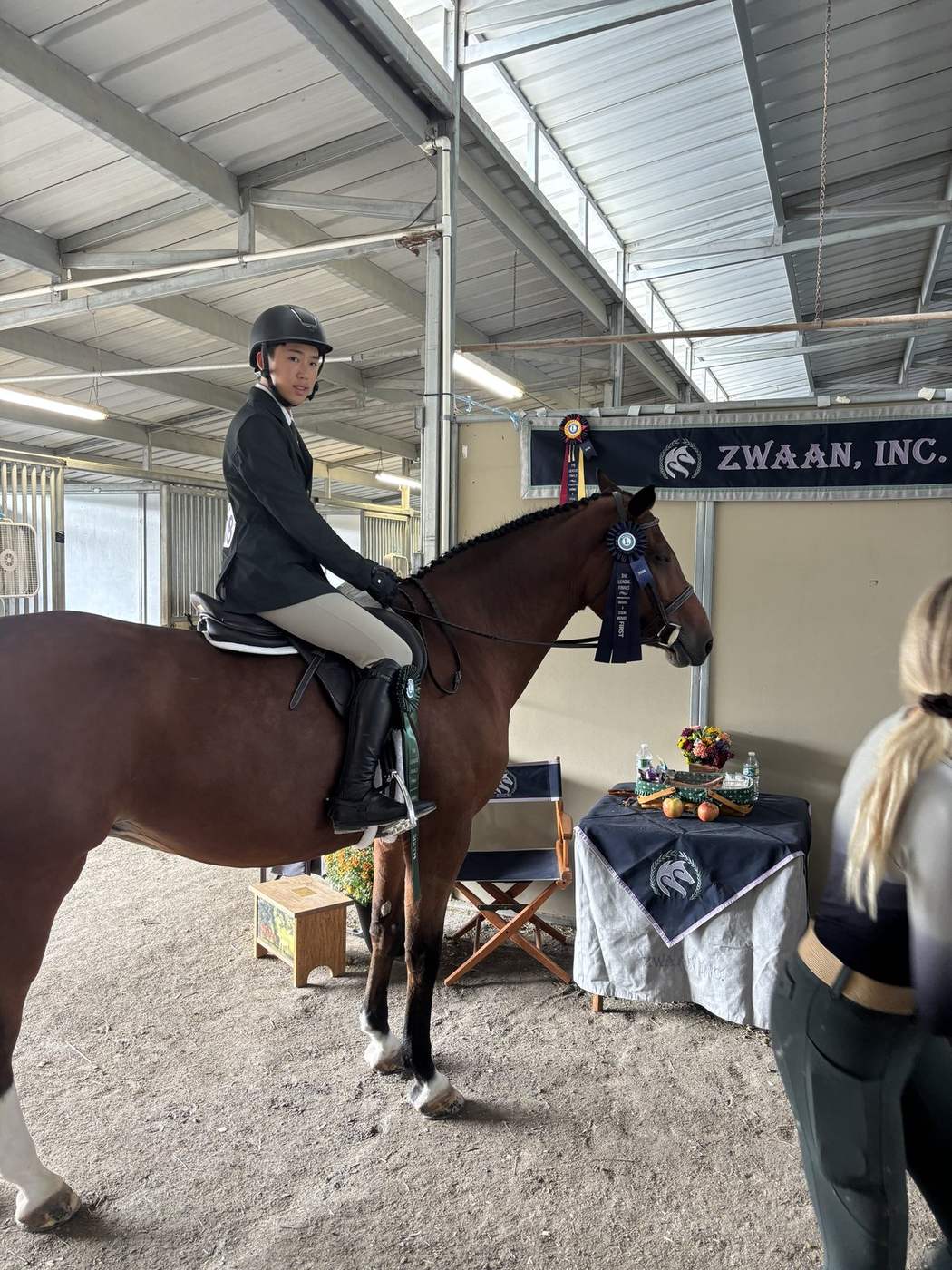 A horse held in the barn aisle before work