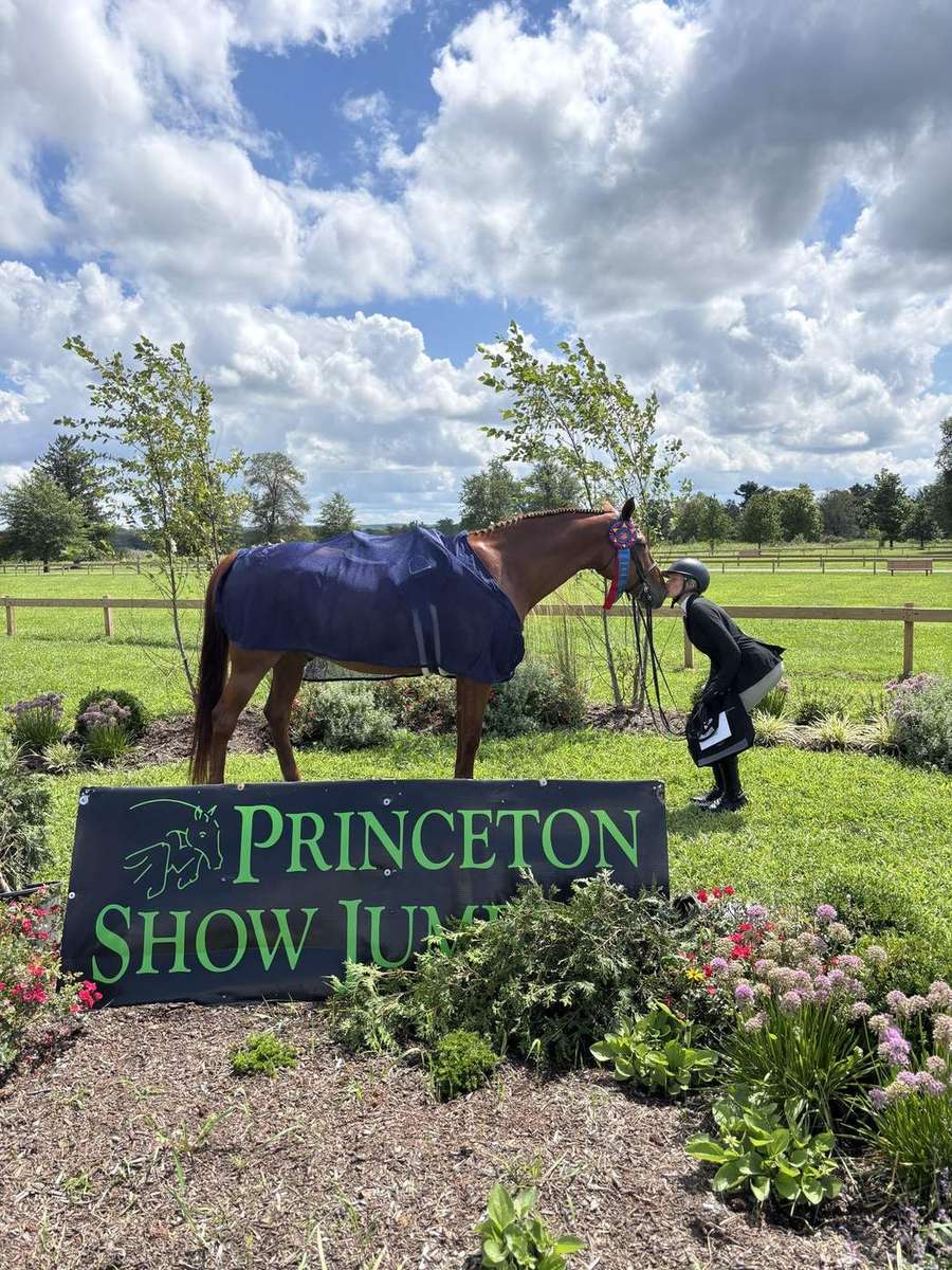 A horse in a show cooler at Princeton Show Jumping