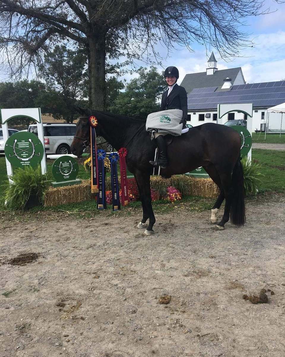 A rider on a dark horse in the championship ring