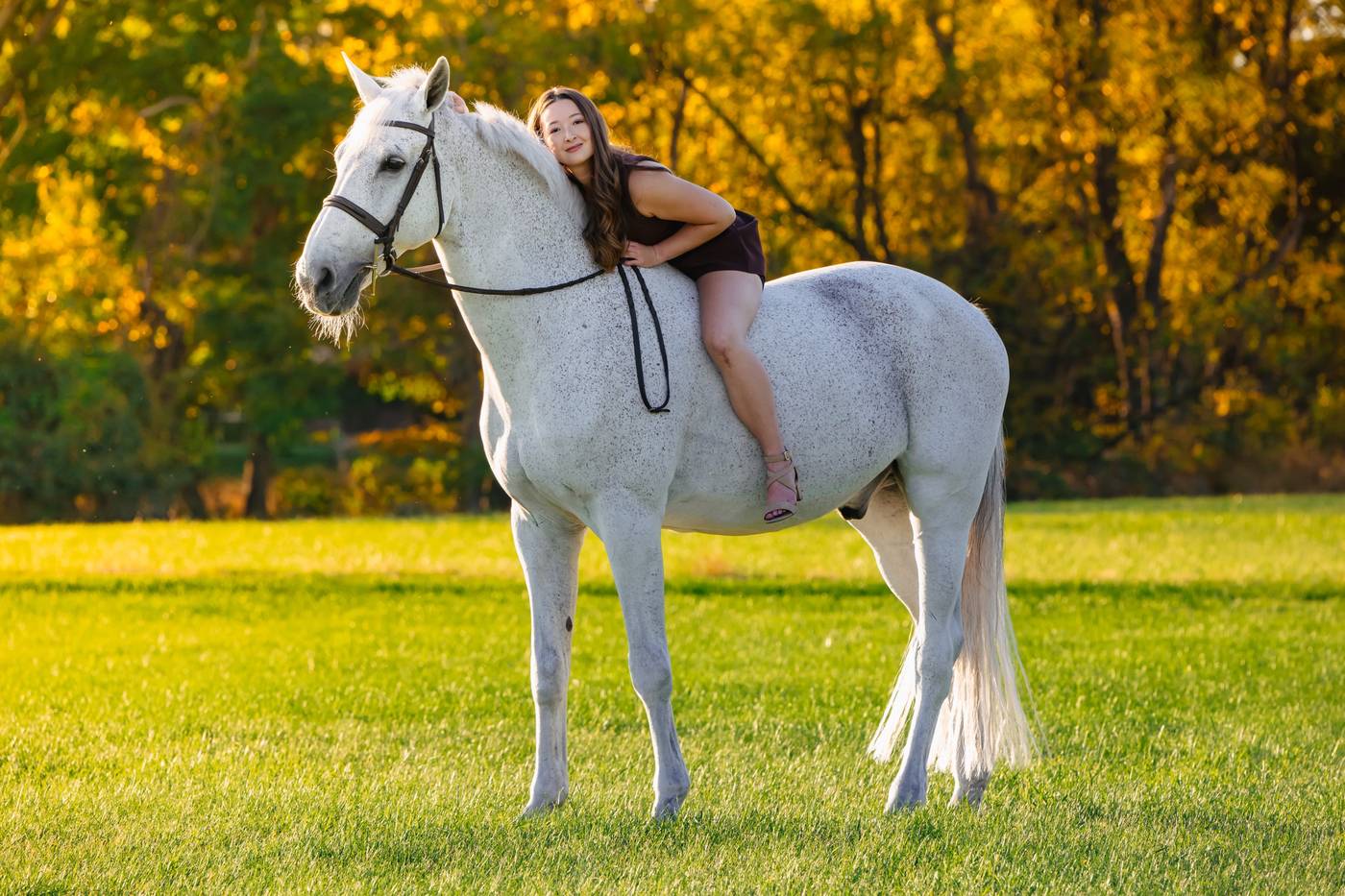 A rider greeting her grey horse over the pasture fence