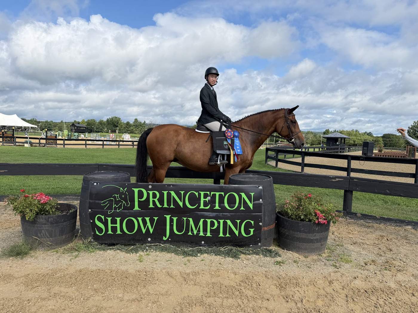 A rider on a bay horse at Princeton Show Jumping