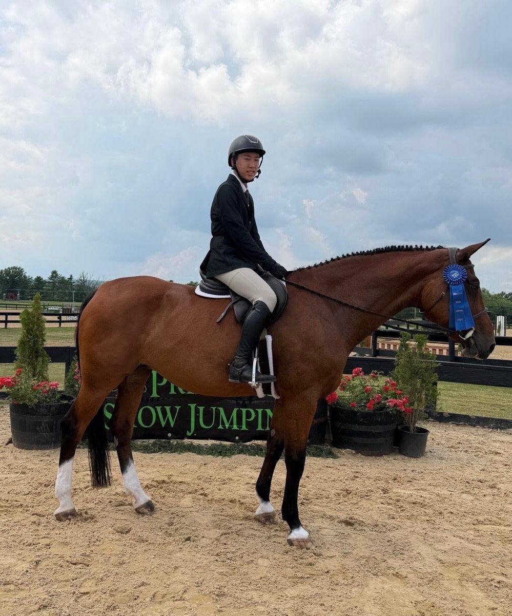 A rider on a bay horse at a show