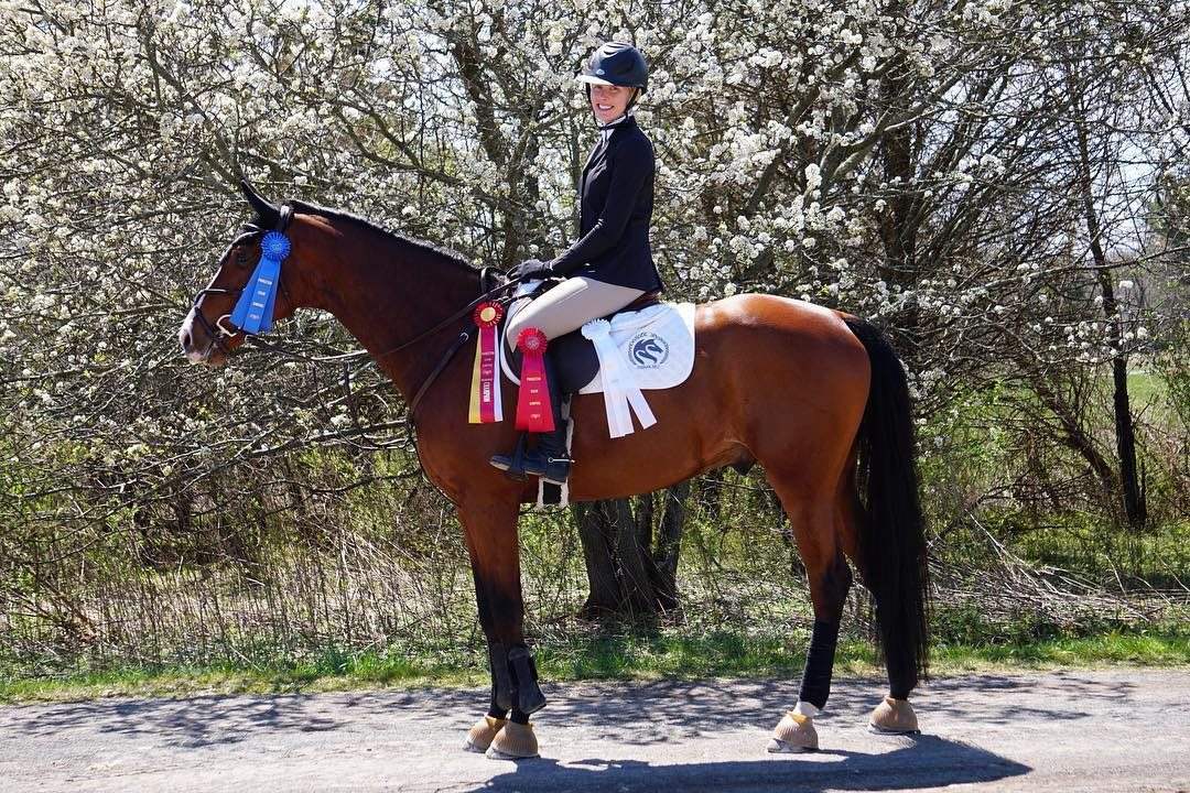 A rider mounted on a bay horse with ribbons beneath spring blossom