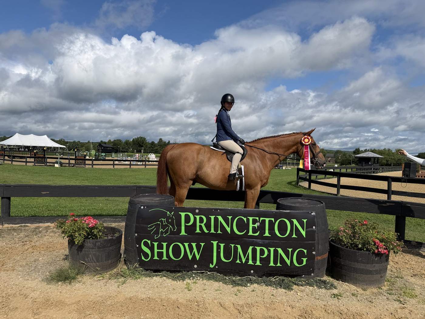 A rider on a chestnut at Princeton Show Jumping