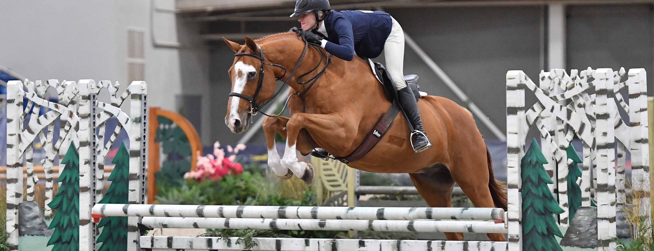 A horse and rider clearing a birch oxer in the hunter ring