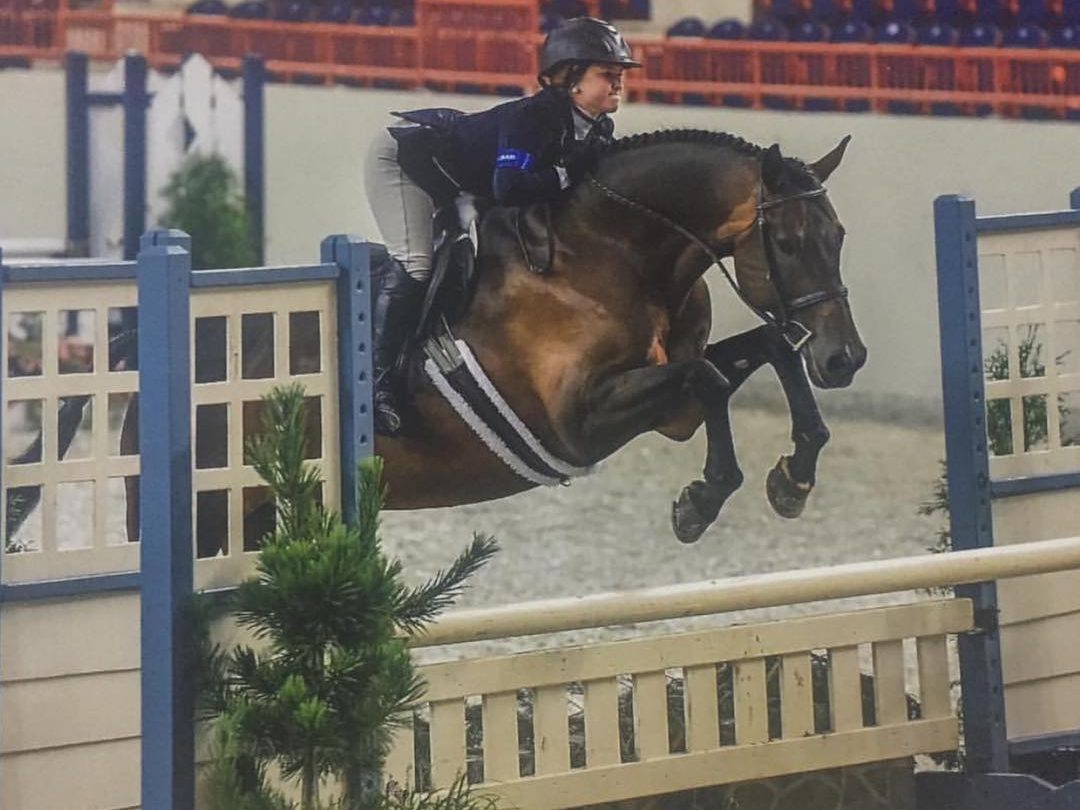 A horse and rider competing in the hunter ring at a New Jersey horse show