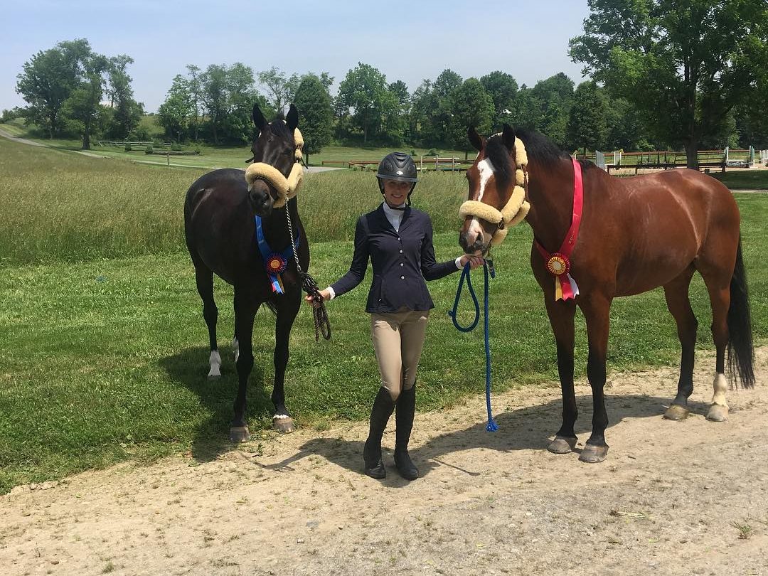 Turnout pastures at the Whitehouse Station horse boarding facility, part of 18 fields across 51 acres