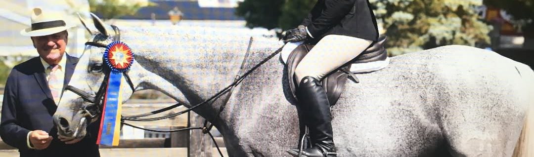 A grey horse and rider in the championship hunter ring at a New Jersey horse show